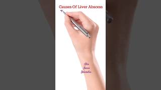 liver abscess causes  mnemonic medical health treatment [upl. by Fedirko859]