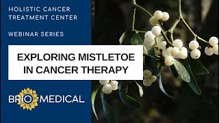 Exploring Mistletoe in Cancer Therapy Insights and Applications Webinar  Dr Miranda LaBant NMD [upl. by Seuqirdor178]