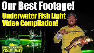 Fishing Light Highlight Video The Best of UnderwaterFishLightcom [upl. by Garate]