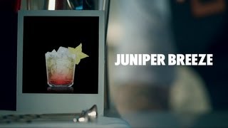 JUNIPER BREEZE DRINK RECIPE  HOW TO MIX [upl. by Aettam]