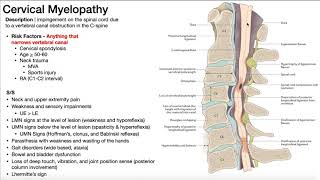 Cervical Myelopathy  Presentation Risk Factors amp SignsSymptoms [upl. by Animaj]