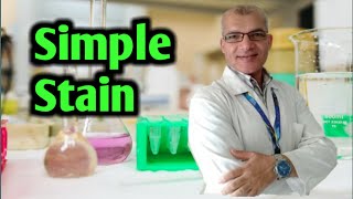 Bacterial Simple Stain Procedure [upl. by Dlarrej]