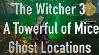 The Witcher 3 A Towerful of Mice Ghost Locations [upl. by Drew]