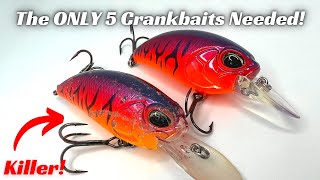 POW The Only 5 Crankbaits You Need Model Type and Color [upl. by Debbra]