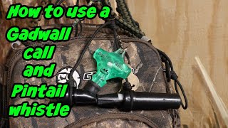 Duck Hunting How to use a gadwall and pintail call [upl. by Enaej]