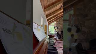 Teaching my little Cousin Devil By Phix pianocover OfficialPhix [upl. by Eidderf]