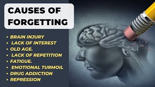 Causes Of Forgetting in Psychology  Why do you Forget [upl. by Gambell]