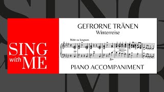 Gefrorne Tränen  Accompaniment  Winterreise  Schubert [upl. by Lazar]