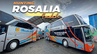 BEGINI SITUASI KEBERANGKATAN BUS ROSALIA INDAH DI POOL BLITAR [upl. by Ailhad]