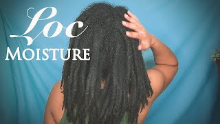 Moisturizing My Locs [upl. by Aliban]