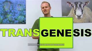 What is transgenesis all about [upl. by Edecrem]