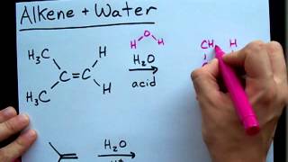 Alkene and Water Reaction  Alcohol [upl. by Brebner]