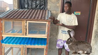 How to make rabbit cage at home using wood and iron net  easy rabbit cage making [upl. by Jefferey843]