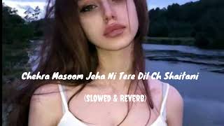 Chehra Masoom Jeha Ni Tere Dil Ch Shaitani lofi [upl. by Robbert437]