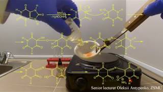 The identification of the uric acid The murexide test [upl. by Manny880]