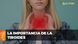 ✅ Entendiendo la función y los desórdenes de la GLÁNDULA TIROIDES  Salud180 🌿 [upl. by Mariandi]