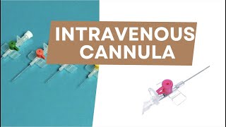 Intravenous cannula  Radiotherapy Edutech  Common terms in Oncology [upl. by Arait]