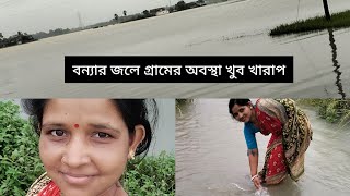 বন্যার জলে চাষের জমির সব জলের তলায় 🌧️🌧️vlog vlogvideo youtube tarun sikha [upl. by Malvin871]