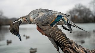 Duck Hunting my Fishing Pond Opening Day [upl. by Ardnuhs550]