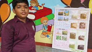 different types crops KharifampRabi activity done by 8th class student Jsrikrishna [upl. by Armallas]