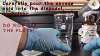 DNase Agar [upl. by Eiuqcaj]