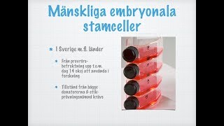 Stamceller och andra cellinjer [upl. by Mckenna]