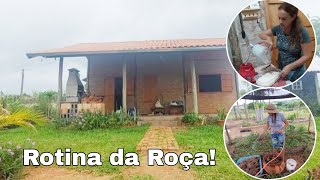 Compramos as minhocas  Mousse de maracujá  Nossa rotina na roça  Vlog [upl. by Weingarten]