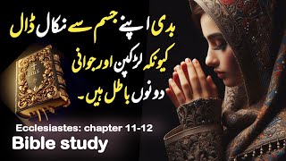 Ecclesiastes 1112  Urdu audio bible  bible Urdu translation  bible study Urdu Hindi  tarjuma [upl. by Niuqram]