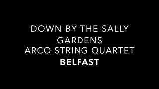 Arco String Quartet Belfast  Down By The Sally Gardens DEMO [upl. by Alaine195]