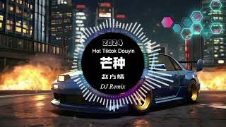 赵方婧  芒种 remix chinese dj 2024 抖音热搜版  最新最火dj抖音版2024  🎶【抖音热门歌曲】抖音 Hot Tiktok Douyin  芒种 DJ Remix [upl. by Ynohtna]