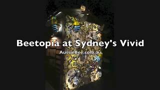 Beetopia Bee Hotel at Vivid Festival Sydney 2019 [upl. by Anet]