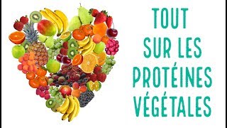 Où trouver des PROTEINES végétales dans les FRUITS et LEGUMES courants [upl. by Lein427]