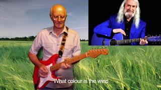 WHAT COLOUR IS THE WIND  CHARLIE LANDSBOROUGH guitar instrumental [upl. by Ilagam138]