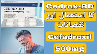 Cedrox BD 500mg Uses  Cedrox BD Tablet Side Effects  Cefadroxil 500mg Uses in UrduHindi [upl. by Hey]