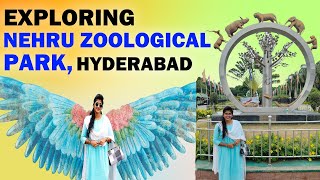 Exploring Nehru Zoological Park  Full Tour  Hyderabad [upl. by Adolfo670]