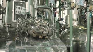 cGMP Manufacturing in Panoli India [upl. by Anial]