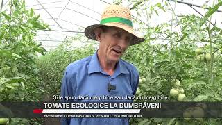 Tomate ecologice la Dumbrăveni Eveniment demonstrativ pentru legumicultori [upl. by Waddington]