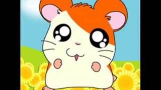 Hamtaro Japanese theme Song [upl. by Aronid]