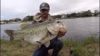 TOP 3 HUGE LARGEMOUTH BASS CAUGHT ON CAMERA compilation [upl. by Eceer]