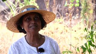 Sur le terrain  La médecine ayurvédique au CHU de la Réunion [upl. by Imerej]