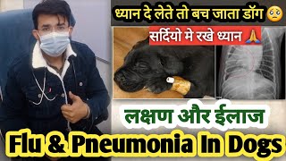 Winter Major Illness In Dogs  Flu amp Pneumonia In Dogs  बड़ी भयंकर बीमारी है 😱  बचा लो डॉग को 👇 [upl. by Belva]