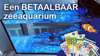 BUDGET Zeeaquarium Kopen amp Opstarten Aquaja Peninsula 190L [upl. by Elorac444]