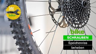 Gerissene Speiche am Laufrad reparieren  BIKE SchrauberAnleitung [upl. by Guarino]