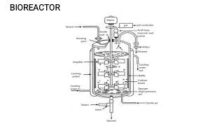 Bioprocess Technology Part 1 Introduction [upl. by Ful123]