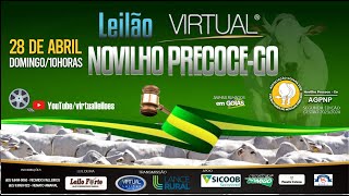 LEILÃO VIRTUAL ESPECIAL NOVILHO PRECOCE GOIÁS  28 DE ABRIL DOMINGO 10h [upl. by Faruq]