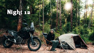 ASMR Solo Motorcycle Camping in a Rainforest  New Tent  New Bike [upl. by Jolene]