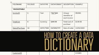 How to create a DATA DICTIONARY Hospital Transport Database [upl. by Nelyk508]