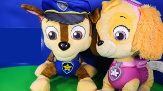 Introducing the Paw Patrol Skye amp Chase Talking Figures [upl. by Giark121]