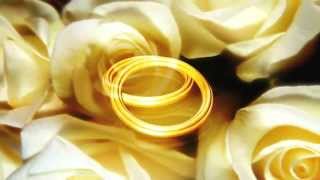 Anéis de Casamento  Video de Fundo Video Background HD [upl. by Solotsopa]