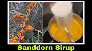 Sanddornsirup Rezept  Sirup aus Sanddorn Trester herstellen Selbstversorgung Resteverwertung [upl. by Marj529]